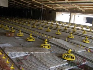 Overview and prevention and control measures of high-incidence diseases in this autumn and winter